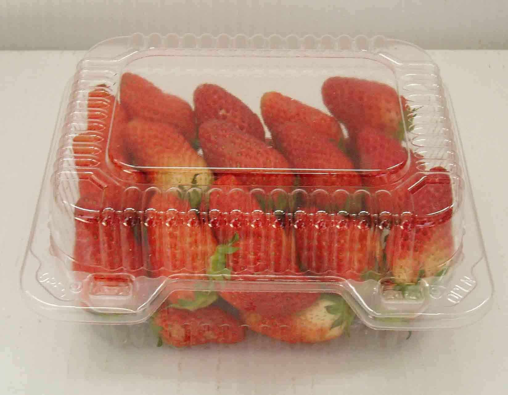 食品吸塑(sù)包裝應用(yòng)