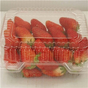 食(shí)品吸塑(sù)包(bāo)裝應(yīng)用